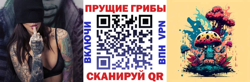 дарк нет наркотические препараты  Бугуруслан  Псилоцибиновые грибы MAGIC MUSHROOMS 